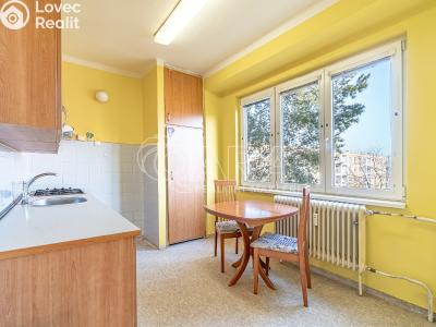 Продажа квартиры 2+1 Kralupy nad Vltavou, Hakenova č. 4
