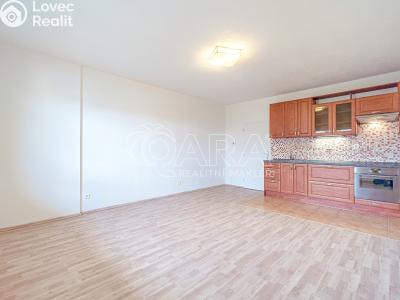 Продажа квартиры 1+KK Holubice, Buková 73 č. 6