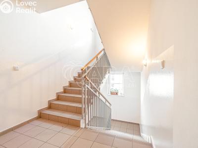Продажа квартиры 1+KK Holubice, Buková 73 č. 19