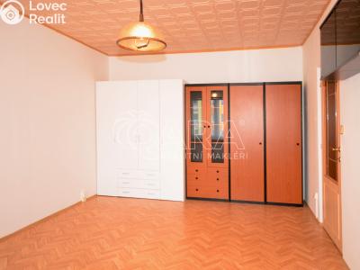 Rent apartment 1+1 Praha, Na domovině č. 6