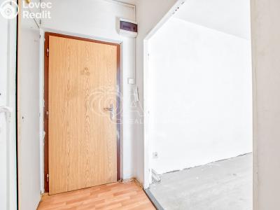 Prodej bytu 1+1 Frýdek-Místek, K Hájku 136 č. 12