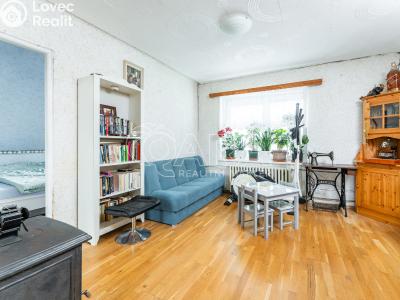 Продажа семейного дома Odolena Voda, Do Zahrad 50 č. 19
