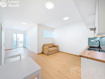 Rent apartment 1+KK Příbram, Špitálská č. 1