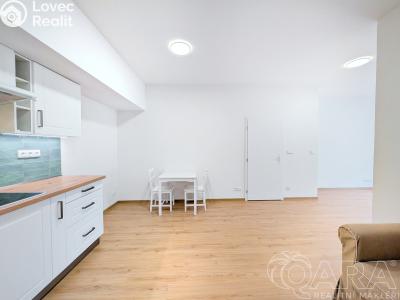 Rent apartment 1+KK Příbram, Špitálská č. 3