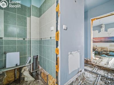Продаж сімейного будинку Rožnov č. 6