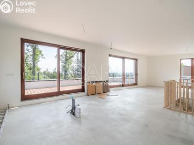 Sale apartment 4+KK Praha, Na pomezí č. 5