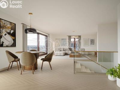 Sale apartment 4+KK Praha, Na pomezí č. 7