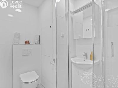 Rent apartment 2+KK Praha, Jetřichovická č. 10