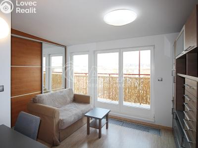 Rent apartment 1+KK Praha 7 č. 3