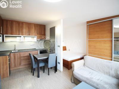 Rent apartment 1+KK Praha 7 č. 4