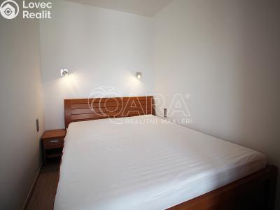 Rent apartment 1+KK Praha 7 č. 5
