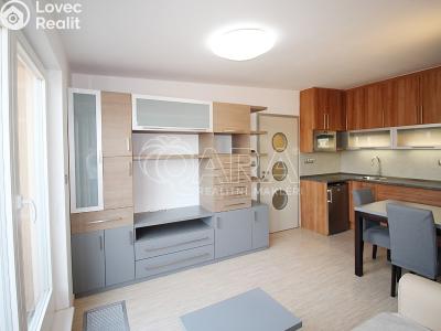 Rent apartment 1+KK Praha 7 č. 6