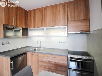 Rent apartment 1+KK Praha 7 č. 7