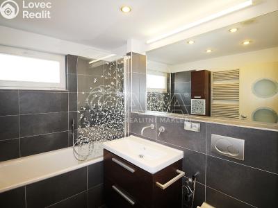 Rent apartment 1+KK Praha 7 č. 8