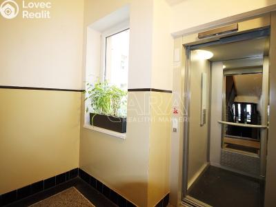 Rent apartment 1+KK Praha 7 č. 9