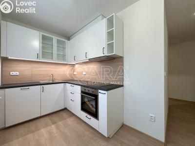 Rent apartment 3+1 Paseka č. 1