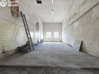 Pronájem výrobní haly Nový Jičín, Riegrova č. 13
