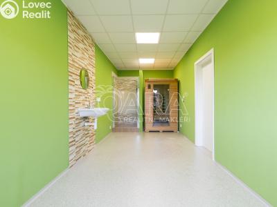 Prodej ubytovacího zařízení Starý Jičín č. 8