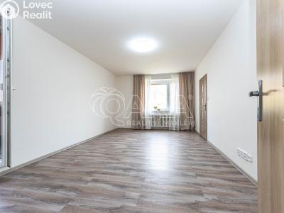 Rent apartment 3+1 Příbram, Milínská 158 č. 1