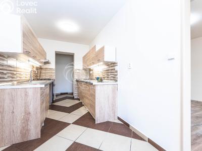 Rent apartment 3+1 Příbram, Milínská 158 č. 6
