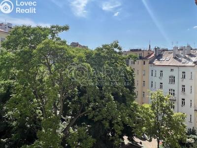 Pronájem bytu 2+1 Praha, Římská č. 24