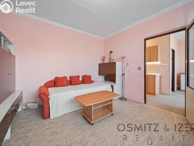 Prodej bytu 3+1 Litoměřice, Družstevní č. 15