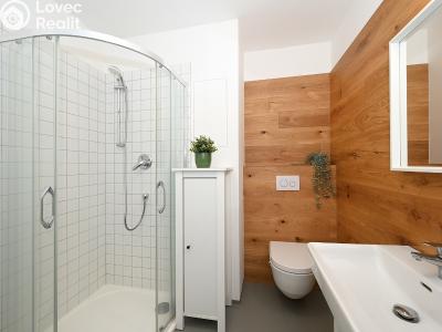 Pronájem bytu 1+KK Praha, Plzeňská č. 11