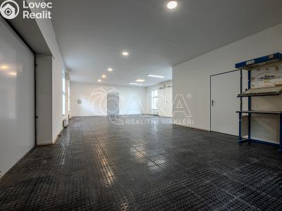 Pronájem skladového prostoru Vestec, Vestecká 541 č. 16