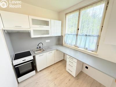 Rent apartment 2+1 Jankov č. 2