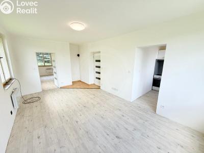Rent apartment 2+1 Jankov č. 3