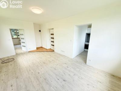 Rent apartment 2+1 Jankov č. 5