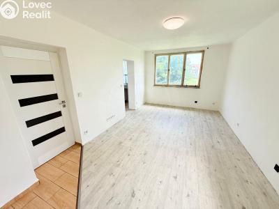 Rent apartment 2+1 Jankov č. 6