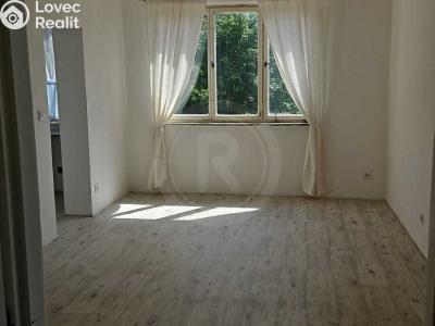 Rent apartment 2+1 Jankov č. 8
