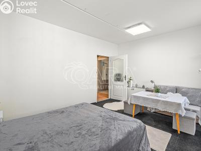 Prodej bytu 3+1 Týn nad Vltavou, Veselská č. 7