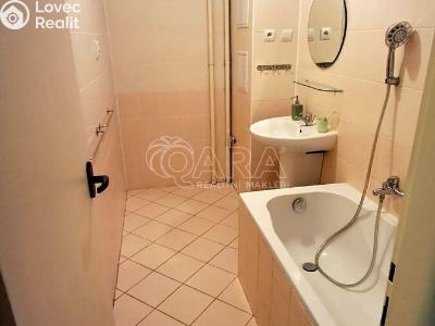 Аренда квартиры 4+1 Praha, Sládkovičova č. 11