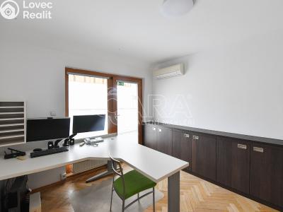 Аренда квартиры 3+1 Praha, Spálená č. 19