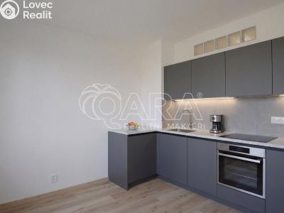 Prodej bytu 2+1 Brno, Stará osada č. 5