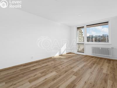 Prodej bytu 2+1 Brno, Stará osada č. 12