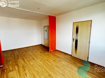 Pronájem bytu 1+1 České Budějovice, K. Šafáře č. 1
