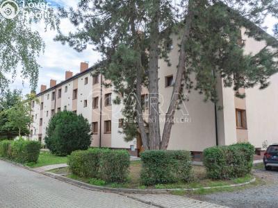 Rent apartment 1+1 Neratovice, Vančurova 697 č. 1