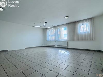 Pronájem kanceláře Hodonín, Národní třída č. 3