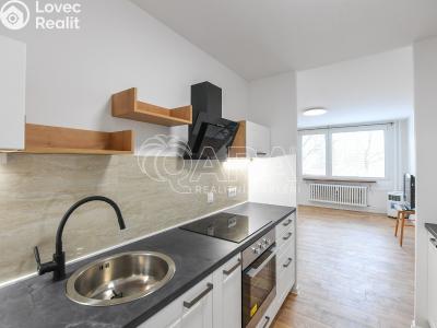 Pronájem bytu 2+KK Praha, Radomská č. 1
