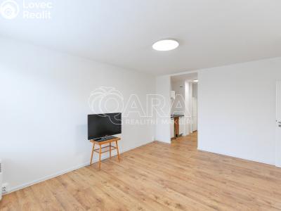 Pronájem bytu 2+KK Praha, Radomská č. 10
