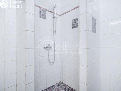 Аренда квартиры 3+1 Praha, Dalimilova č. 10