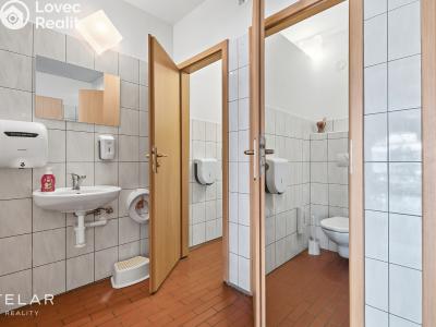 Prodej komerční nemovitosti Březí, Dunajovická 15 č. 8