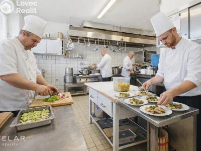 Prodej komerční nemovitosti Březí, Dunajovická 15 č. 12