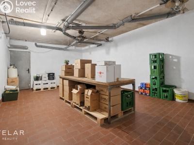 Prodej komerční nemovitosti Březí, Dunajovická 15 č. 24