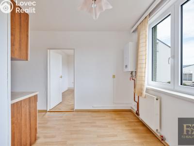 Sale apartment 3+1 Písek, Jiráskovo nábř. 1823 č. 8