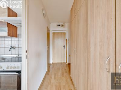 Sale apartment 3+1 Písek, Jiráskovo nábř. 1823 č. 17