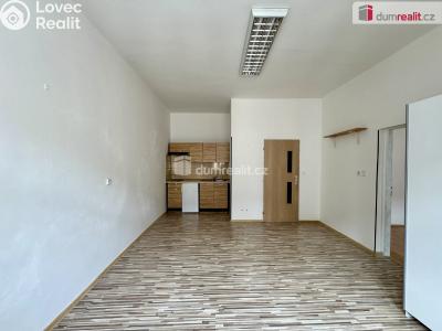 Pronájem bytu 1+1 Chomutov, Nerudova č. 1